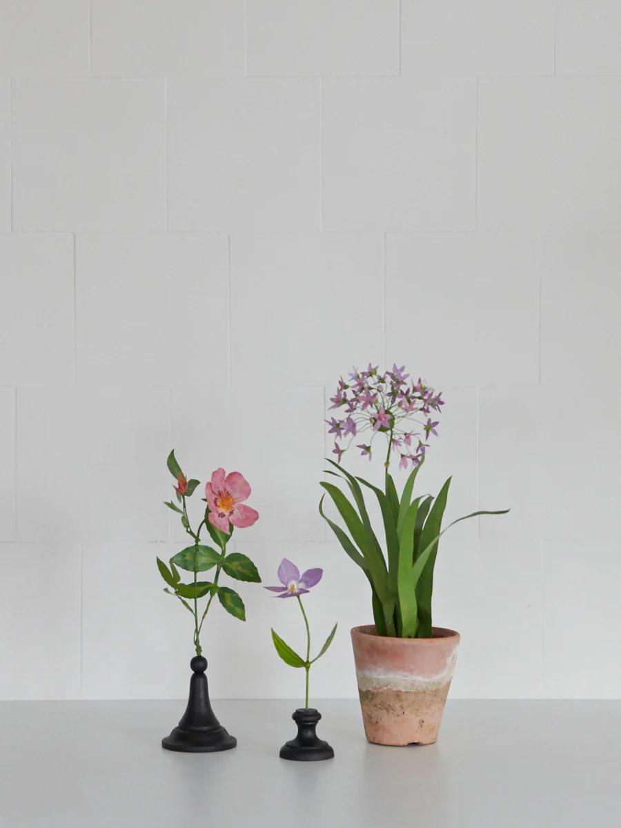 Two black stands with pink and purple flowers, terracotta pot with star-shaped flowers. Light grey tiled wall.