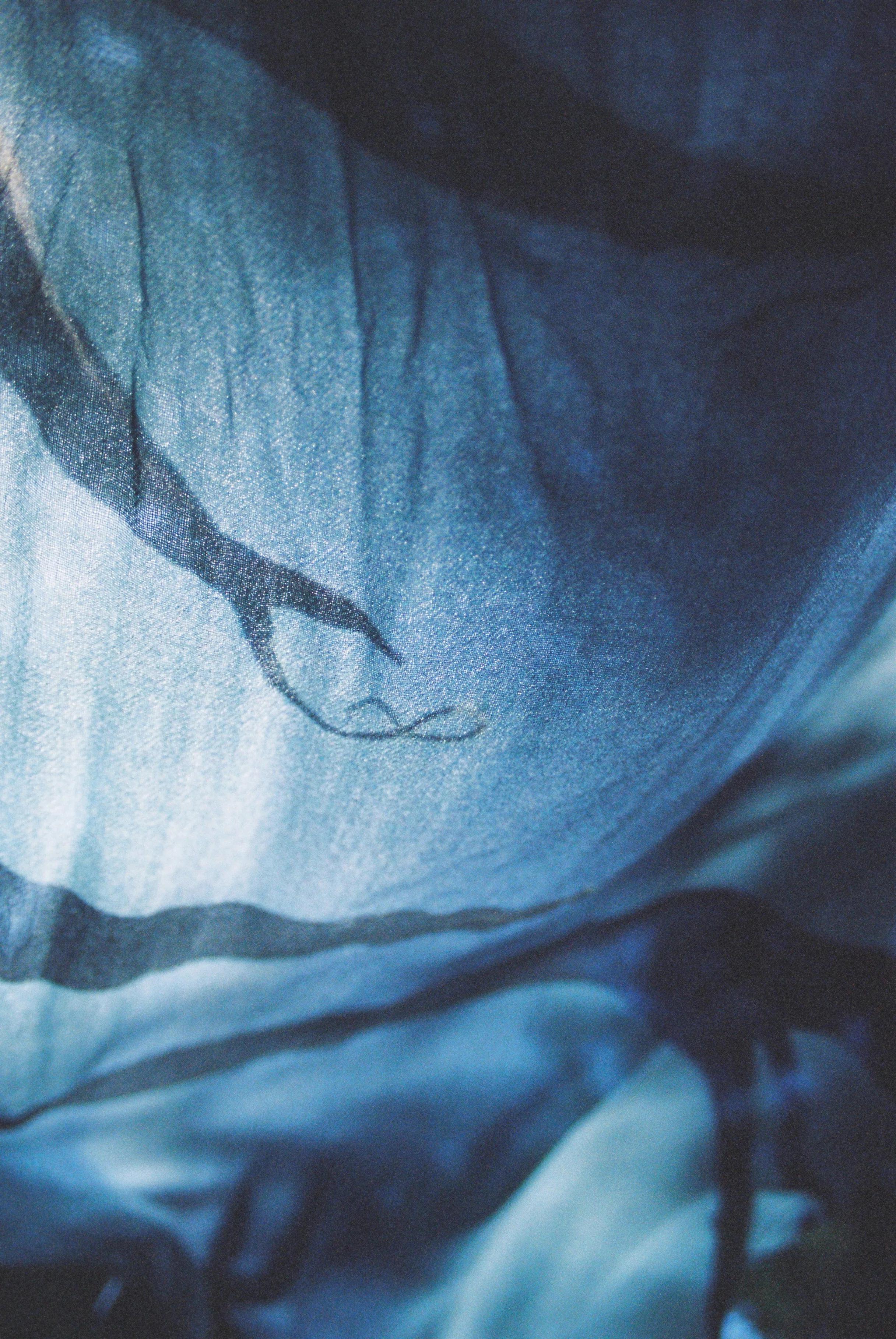 Close-up of translucent blue fabric with dark branch patterns. Light filters through, highlighting intricate textile design.