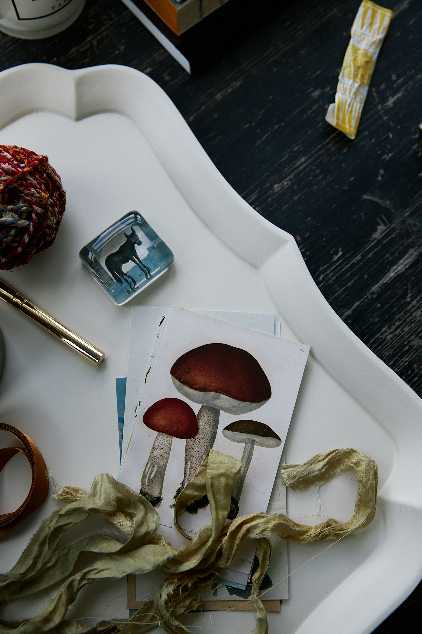 Almond tray featuring hand drawn mushrooms on a postcard