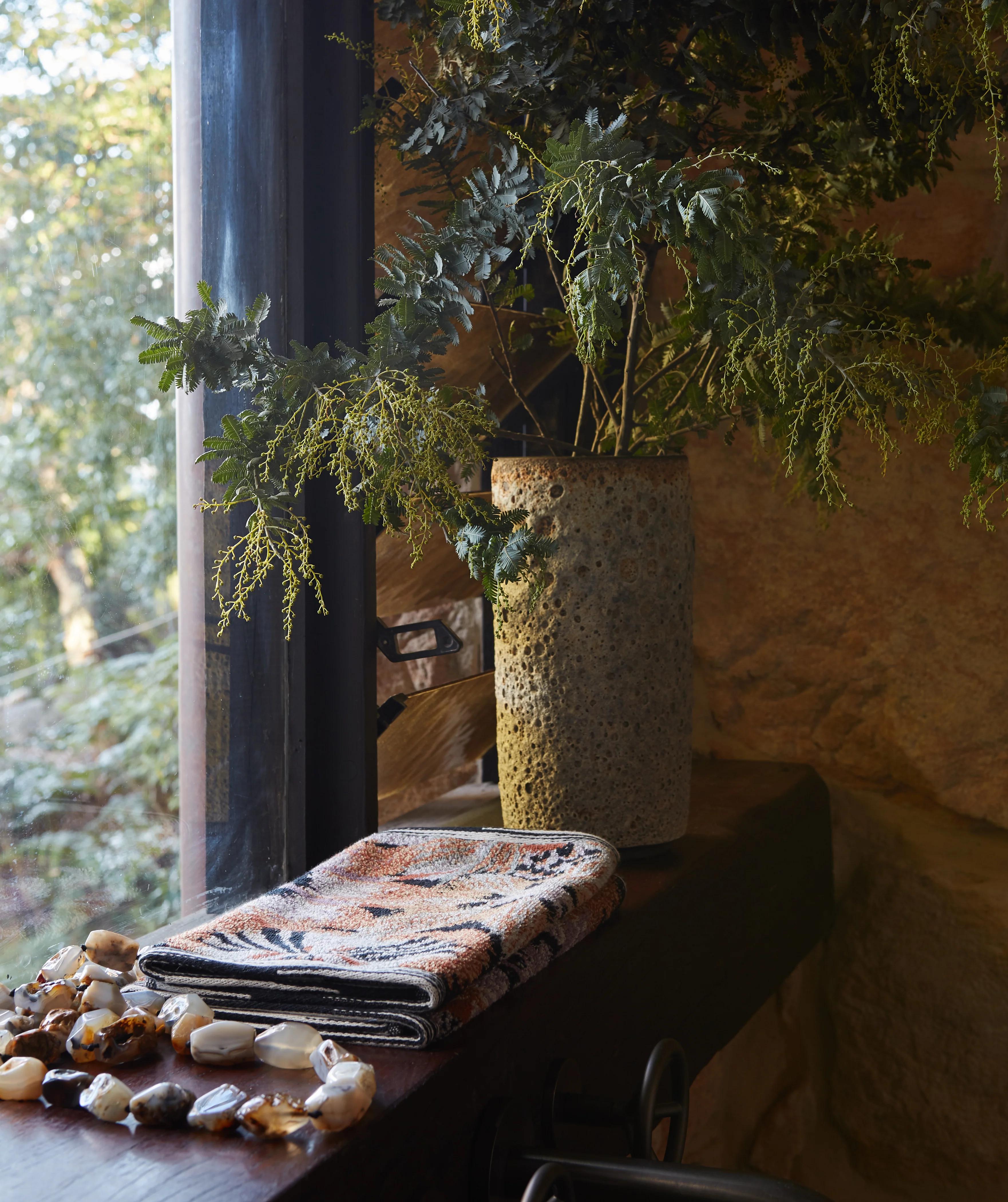 A large potted plant and a folded patterned towel sit in a cosy corner near a window, with small stones and sunlight illuminating the scene.