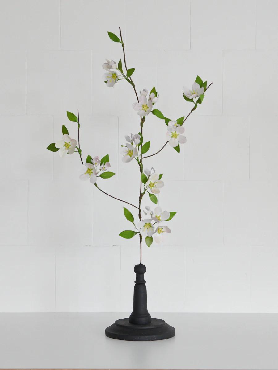 Small branch with white blossoms and green leaves in black vase. White tiled background.