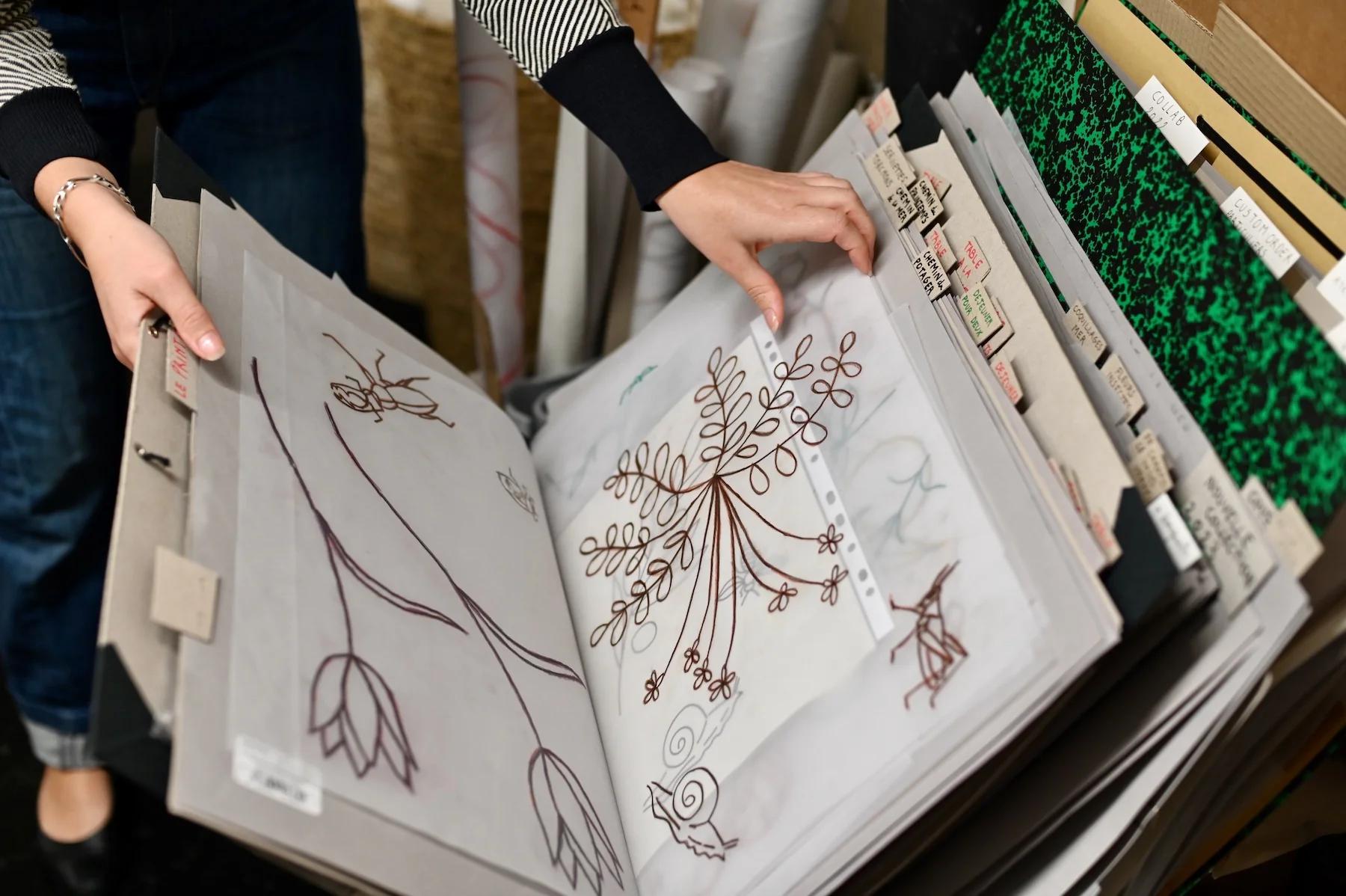 Person looks through folder of transparent sheets with botanical designs. Other folders and papers in background.