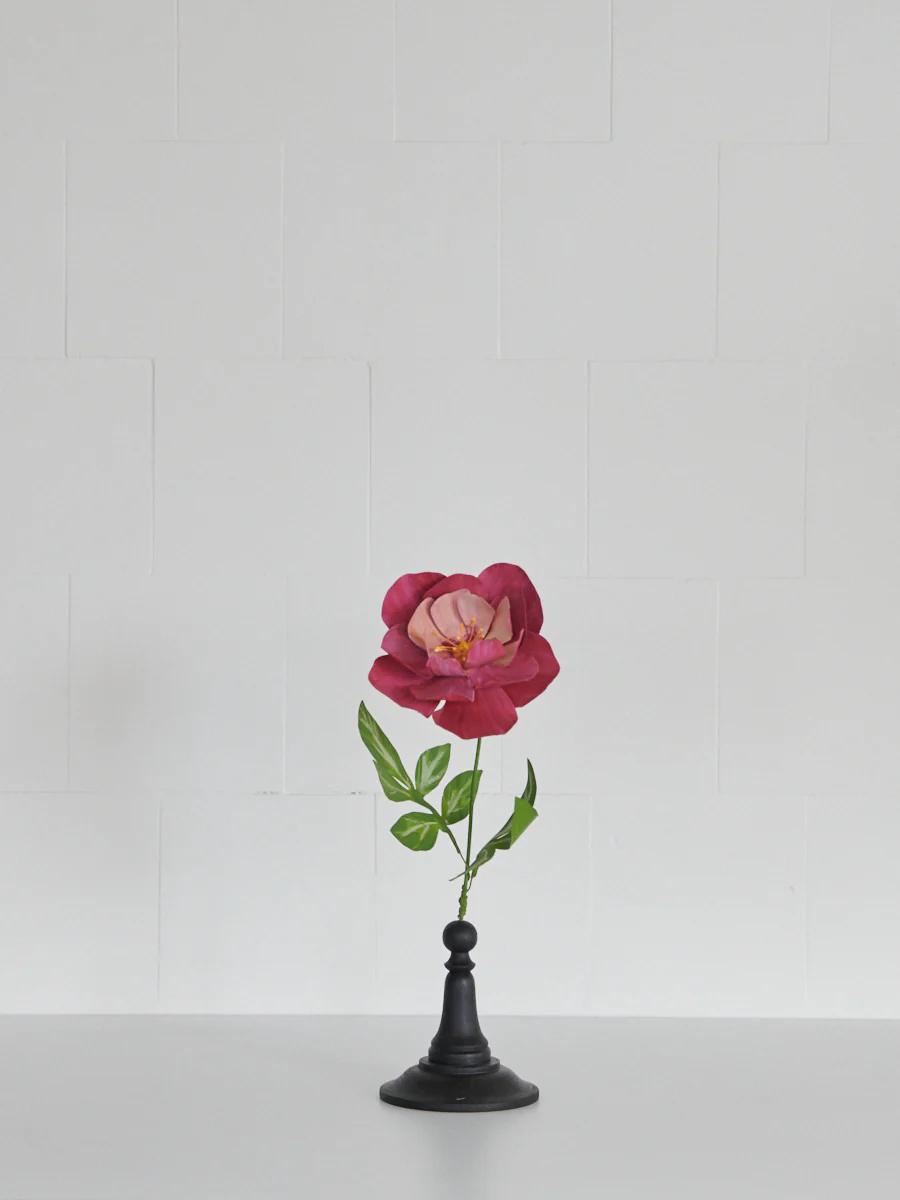 Single pink peony in black vase against white background. Green leaves accompany stem.