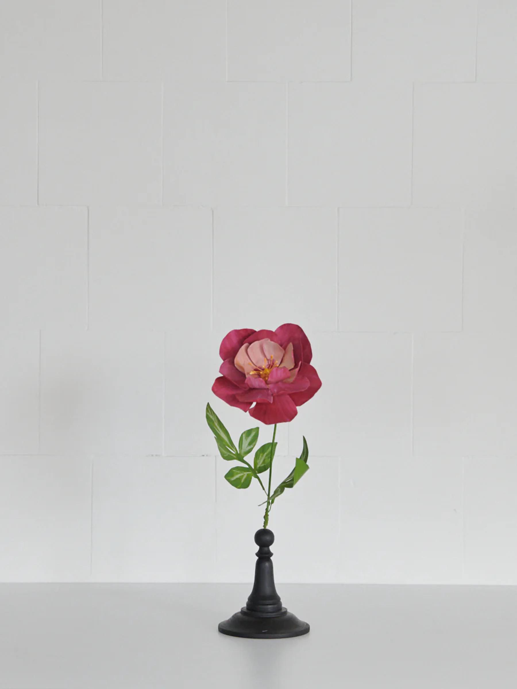 Single pink peony in black vase against white background. Green leaves accompany stem.