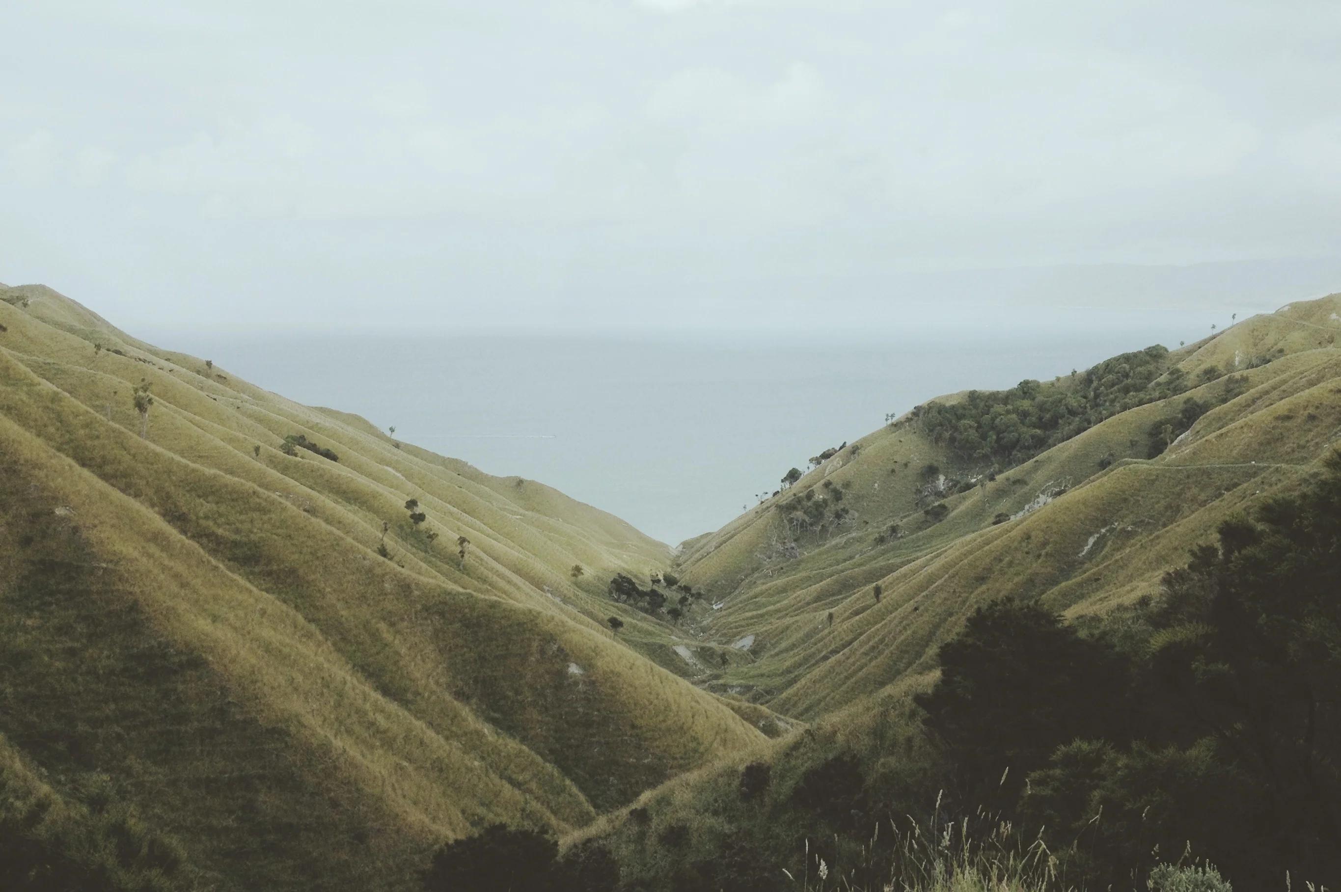 Green, arid valley flanked by grassy hills. Distant, misty horizon with faint water glimpse. Sparse trees dot undulating landscape. Ideal for off-the-beaten-track adventures in Rufus Knight's summer series.