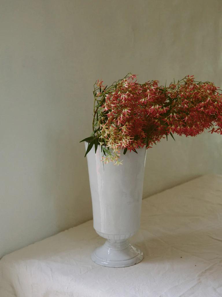 Tall white vase from French ceramic house holds drooping clusters of pink and white flowers. Placed on white-clothed table against plain background.