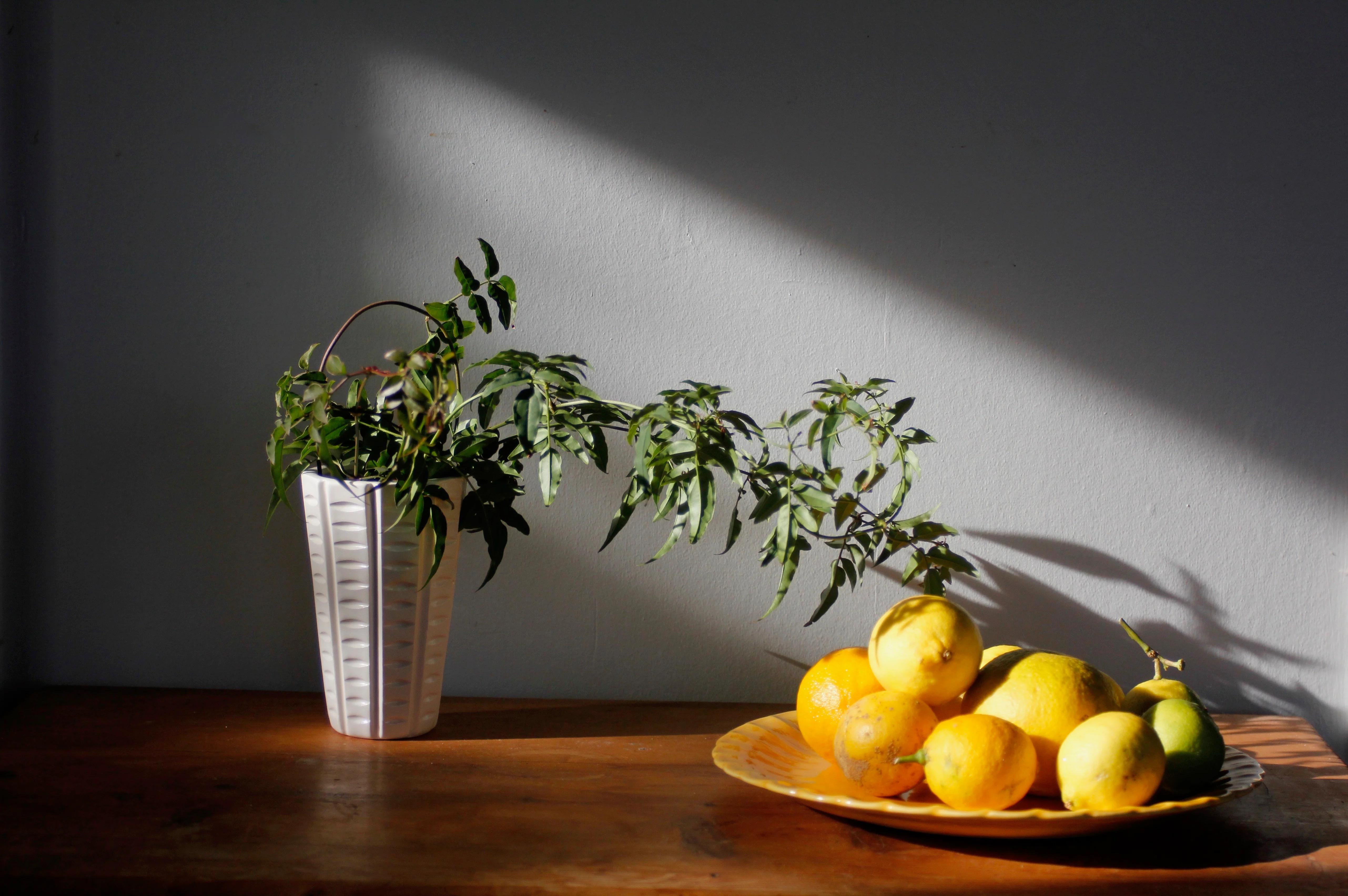 A white plant pot sits next to a yellow plate of citrus fruits, including lemons. The scene reflects bright flavours typical of Palestinian recipes.