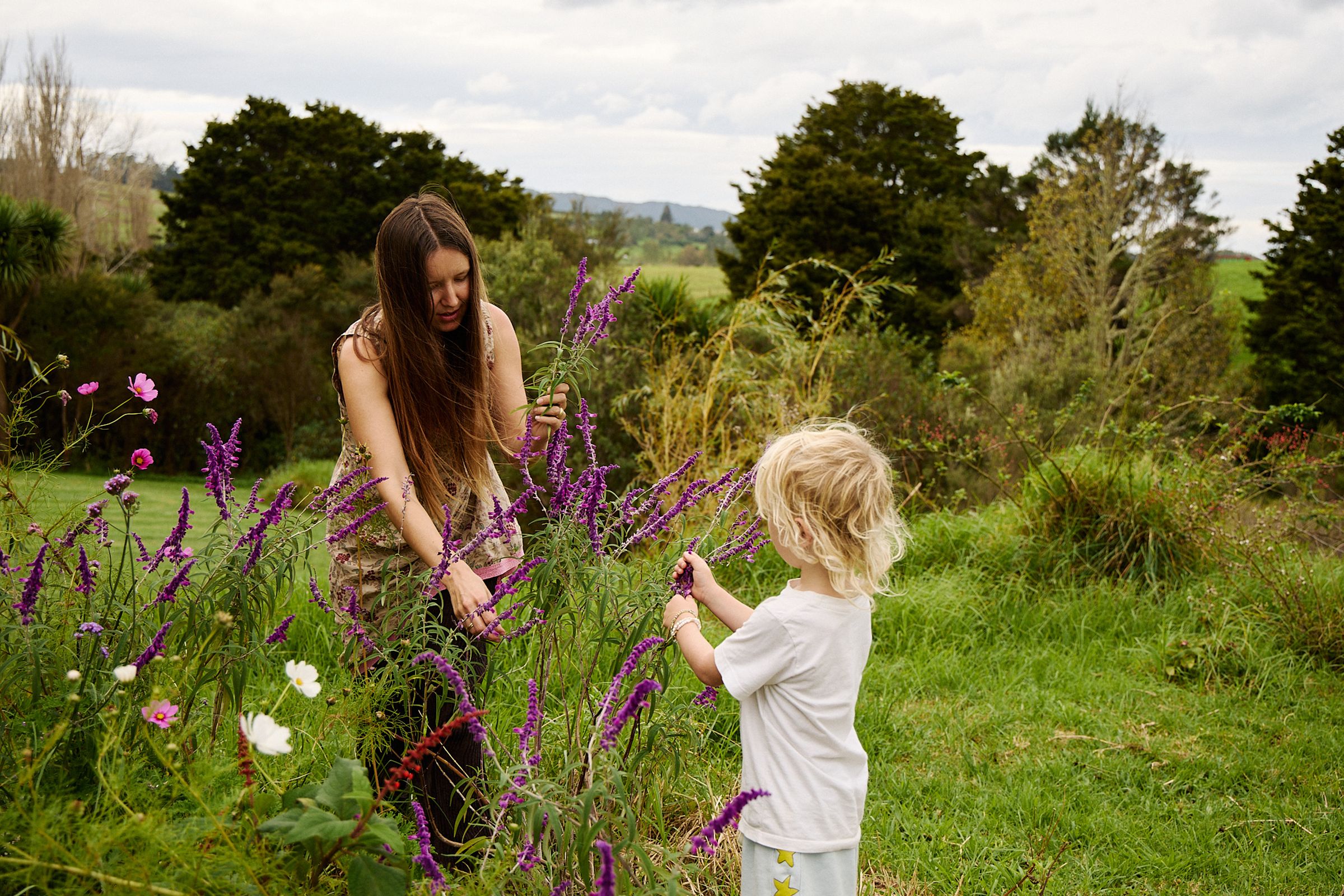 mother picks purple sage flowers from the garden with her son 