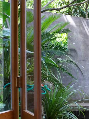 Glass door opens to lush garden oasis. Concrete wall frames greenery, with hose visible. Evokes Rachel Carley's tranquil designs.