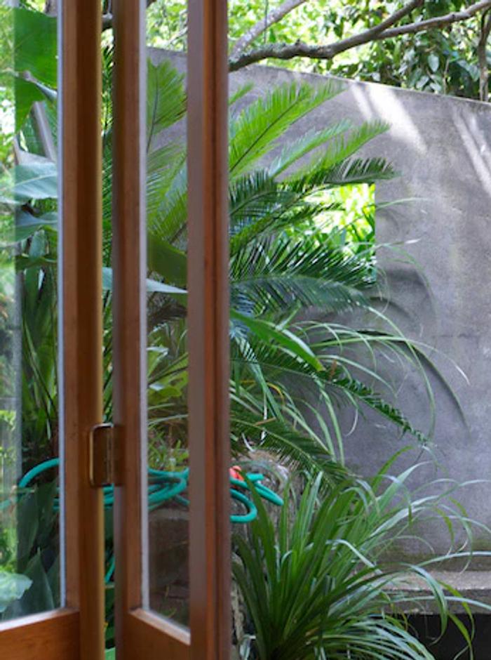 Glass door opens to lush garden oasis. Concrete wall frames greenery, with hose visible. Evokes Rachel Carley's tranquil designs.