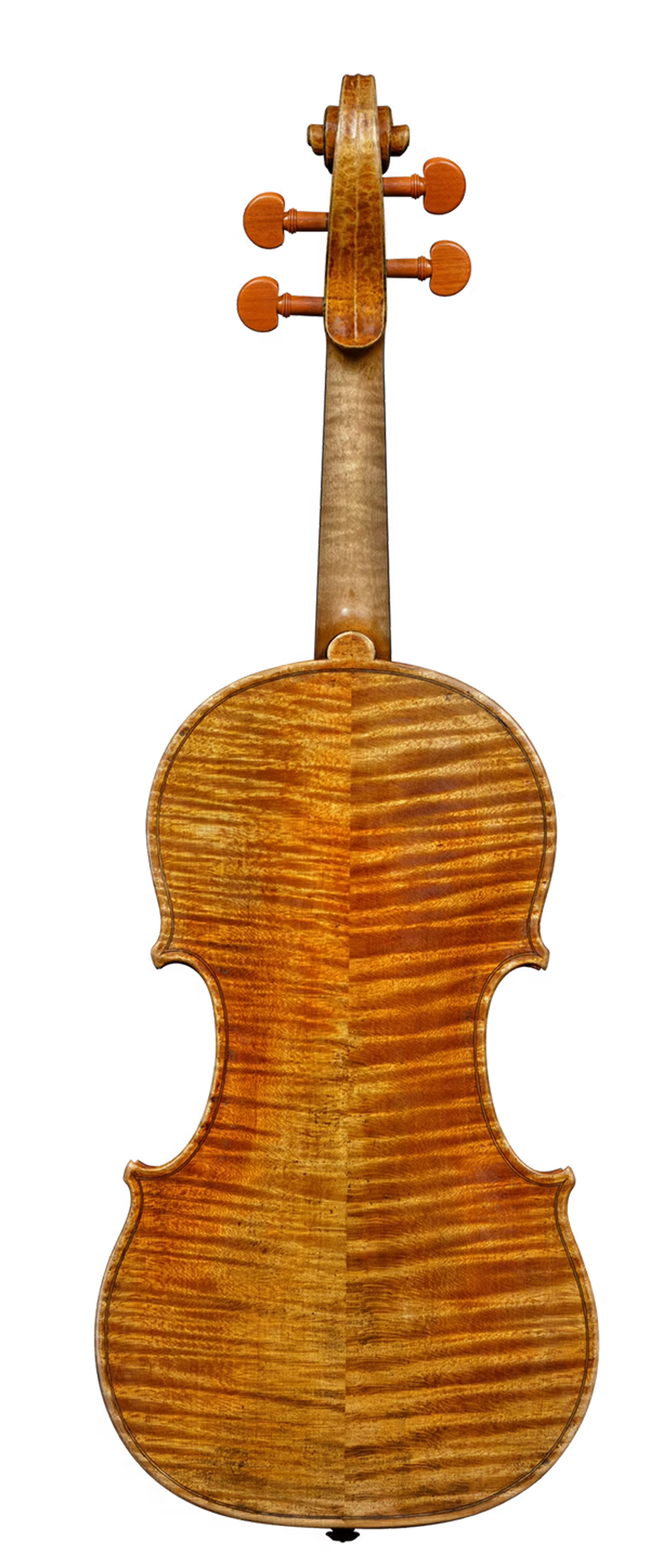 Violine Back