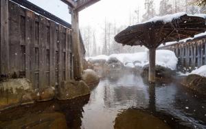 東北 の 冬 と 温泉 —— 雪 と おんせん の たび