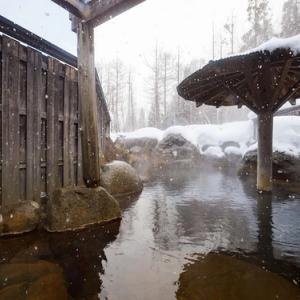 東北 の 冬 と 温泉 —— 雪 を 見ながら はいる 幸せ