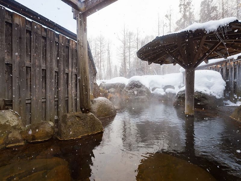 The Best Onsens in Tohoku: Snow, Steam, and Japanās Dreamiest Winter Escapes