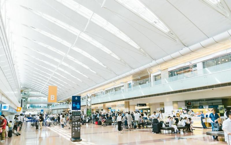 アレックス、日本 に いく