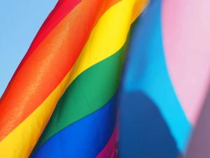 🌈 新宿二丁目って どんな ところ？