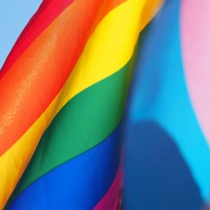 🌈 新宿二丁目:多様性 と 連帯 が 息づく 都市 の 片隅