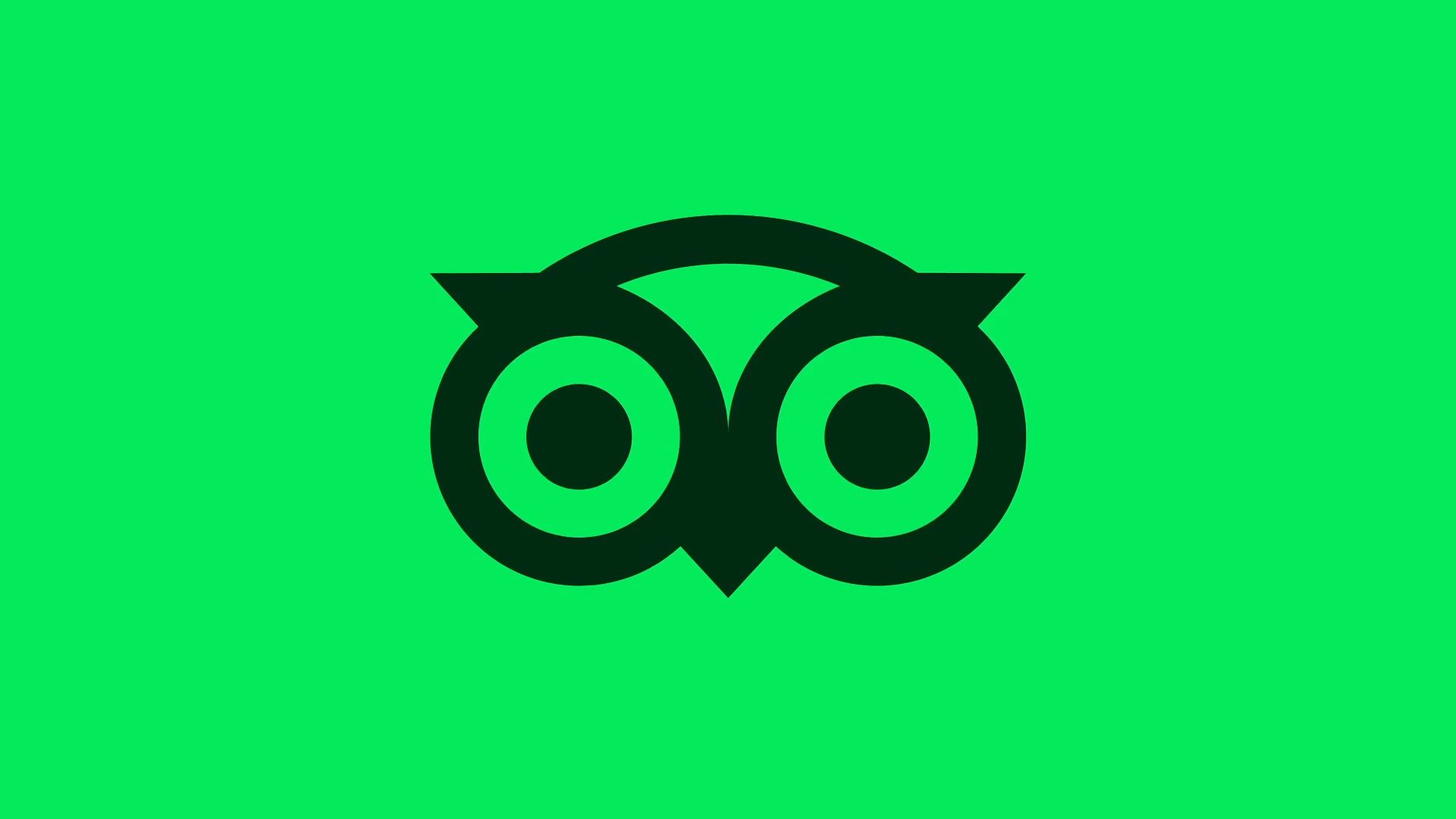 Designed by Koto | Brand Archive