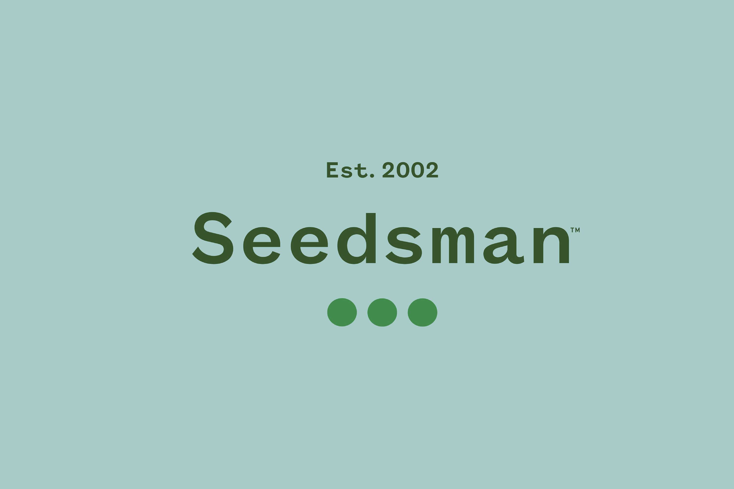 Brand identity work
