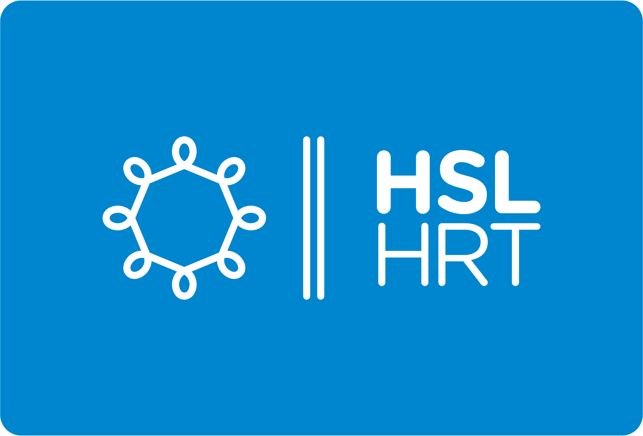 HSL brand identity