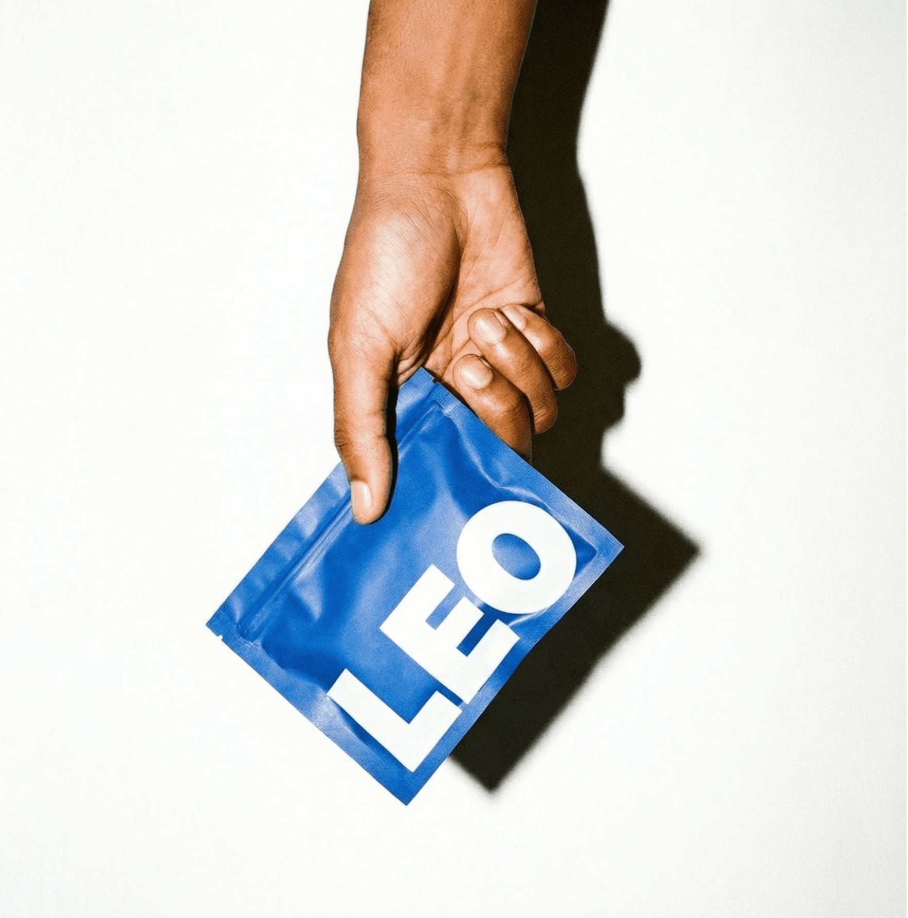 Leo Brand Identity | Brand Archive