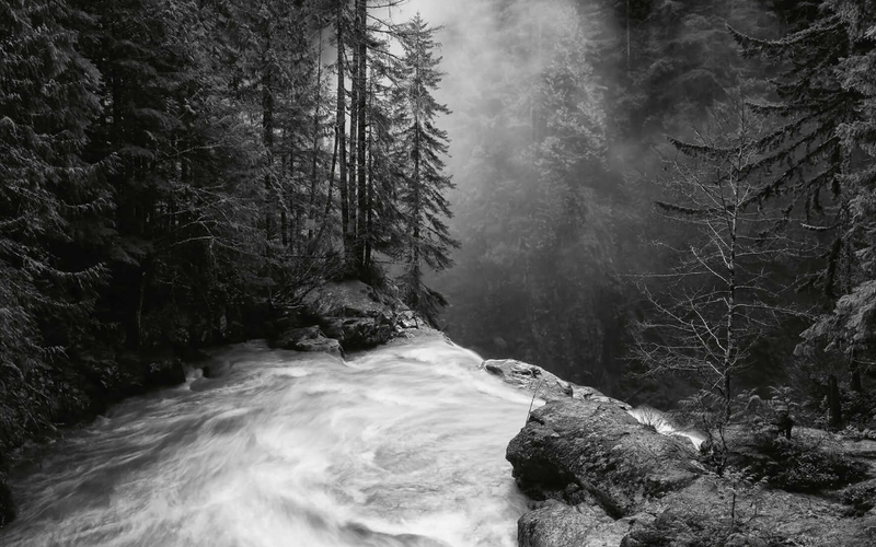 The $13B Penalty for "Early Success" (QSBS Data)