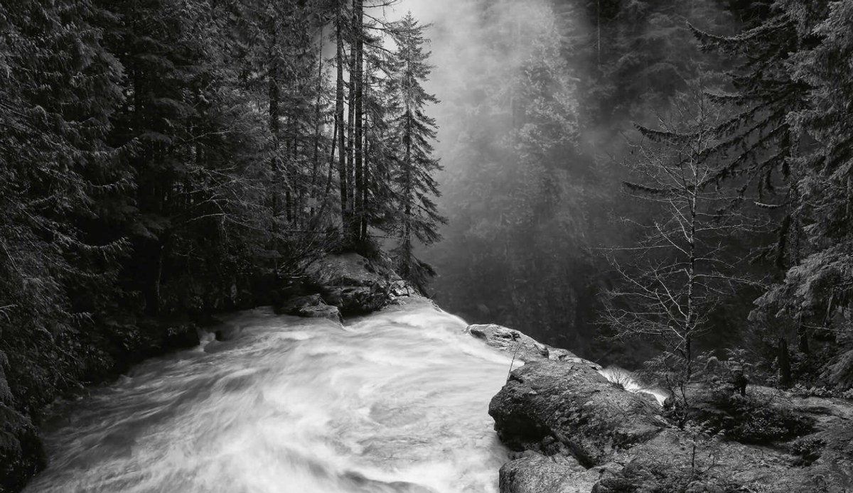 The $13B Penalty for "Early Success" (QSBS Data)