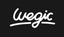 icon of Wegic AI