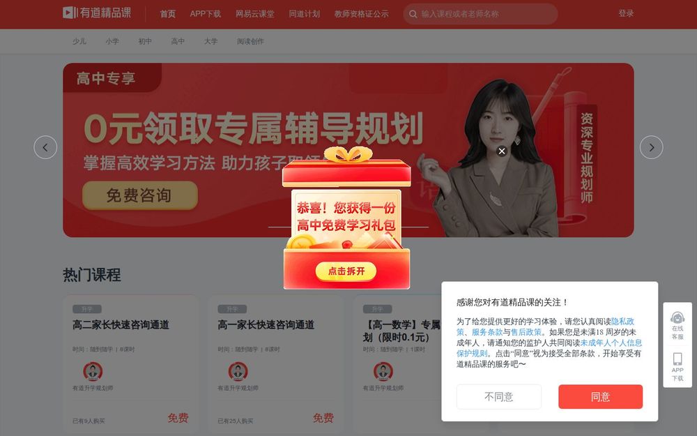 image of Youdao Premium Courses image of Youdao Premium Courses