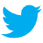 icon of Twitter Video Downloader