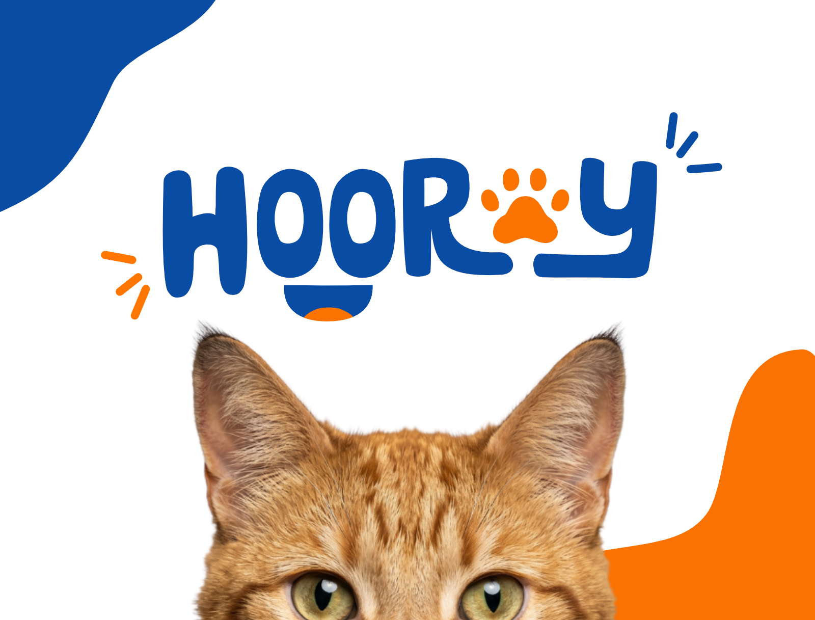 Hooray: Cat Health Supplement