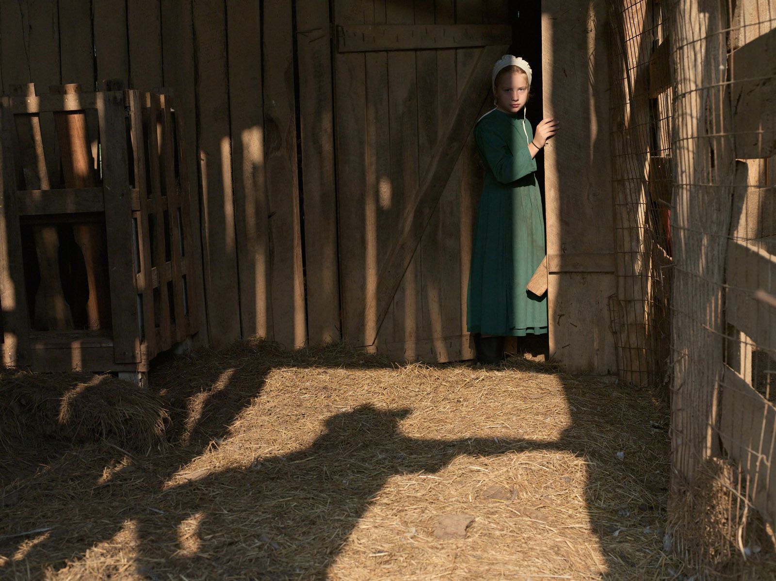 Valarie and the Shadow, Tennessee 2008
