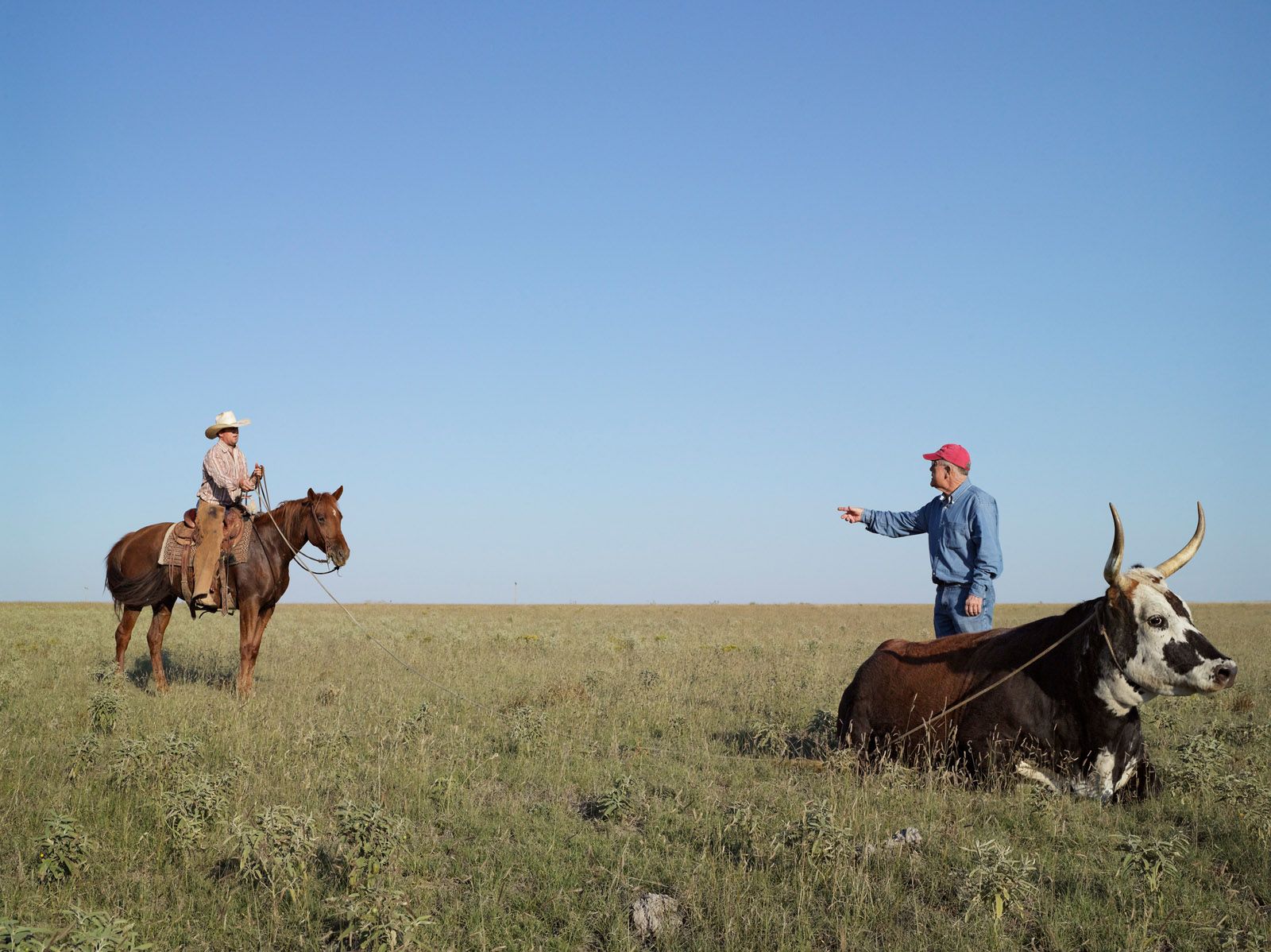 Tom and Donnie Cattle Roping, Burson Cattle Company, Silverton, Texas 2012