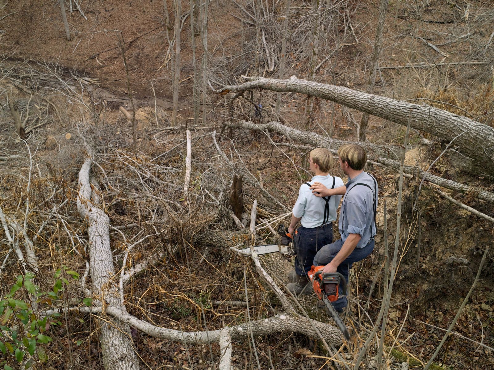 Woodcutting, Russell Creek Community, Tennessee 2010