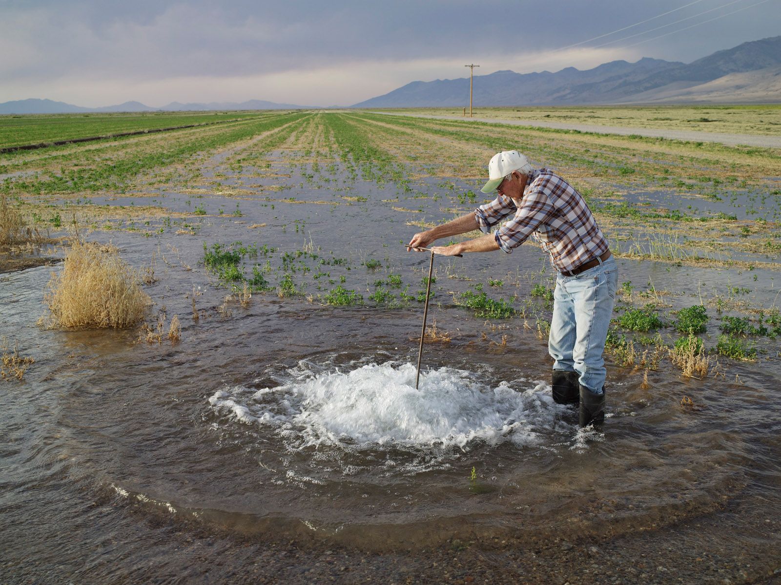 Don Flood Irrigating Alfalfa, Diamond Valley, Nevada 2012