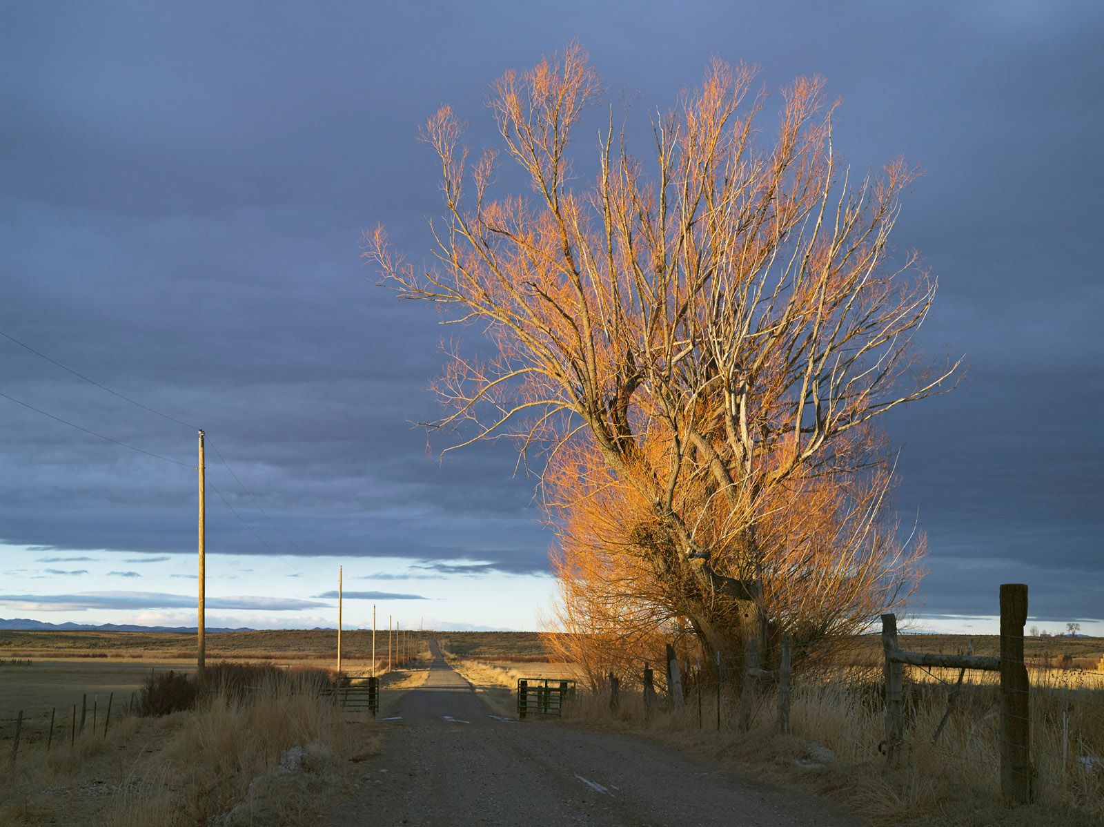 Driveway, 71 Ranch, Deeth, Nevada 2012