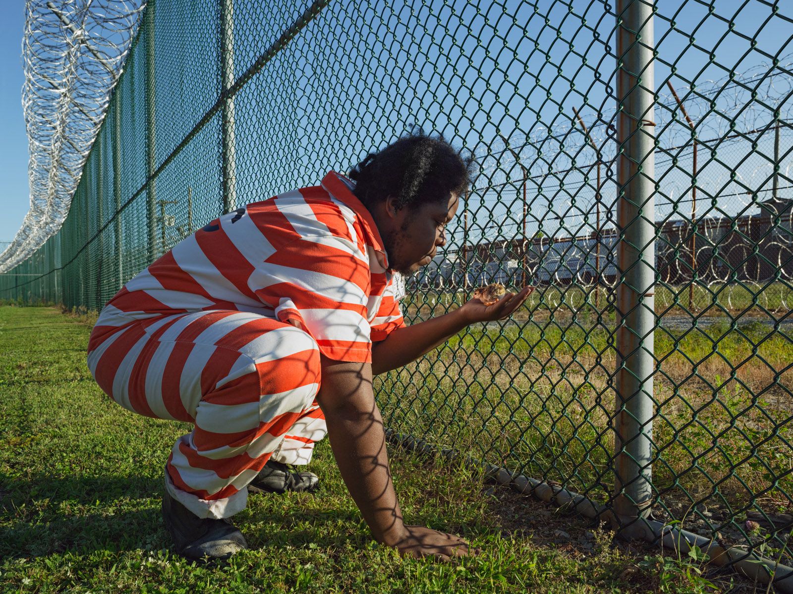Troy Holding a Guinea Fowl Chick, GreenHouse Program, Rikers Island Jail Complex, New York 2014