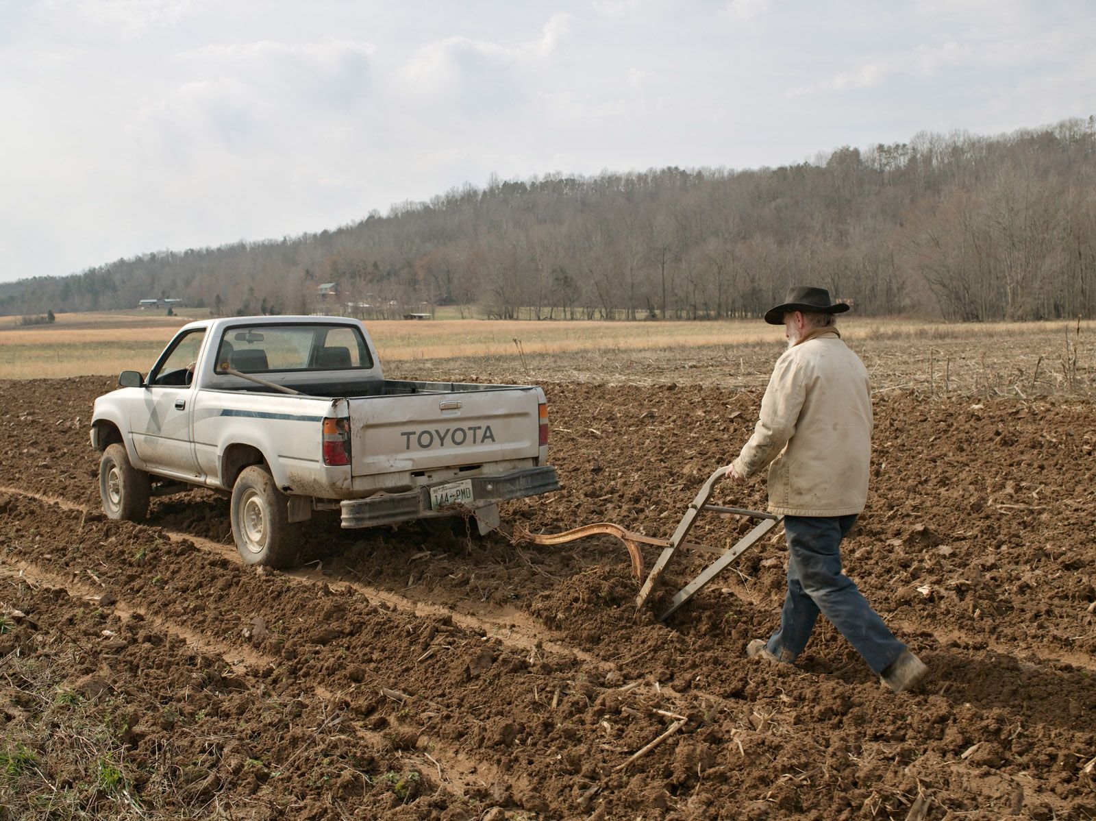 Lowell Cultivating with Pickup Truck and Ox Plow, Tennessee 2008