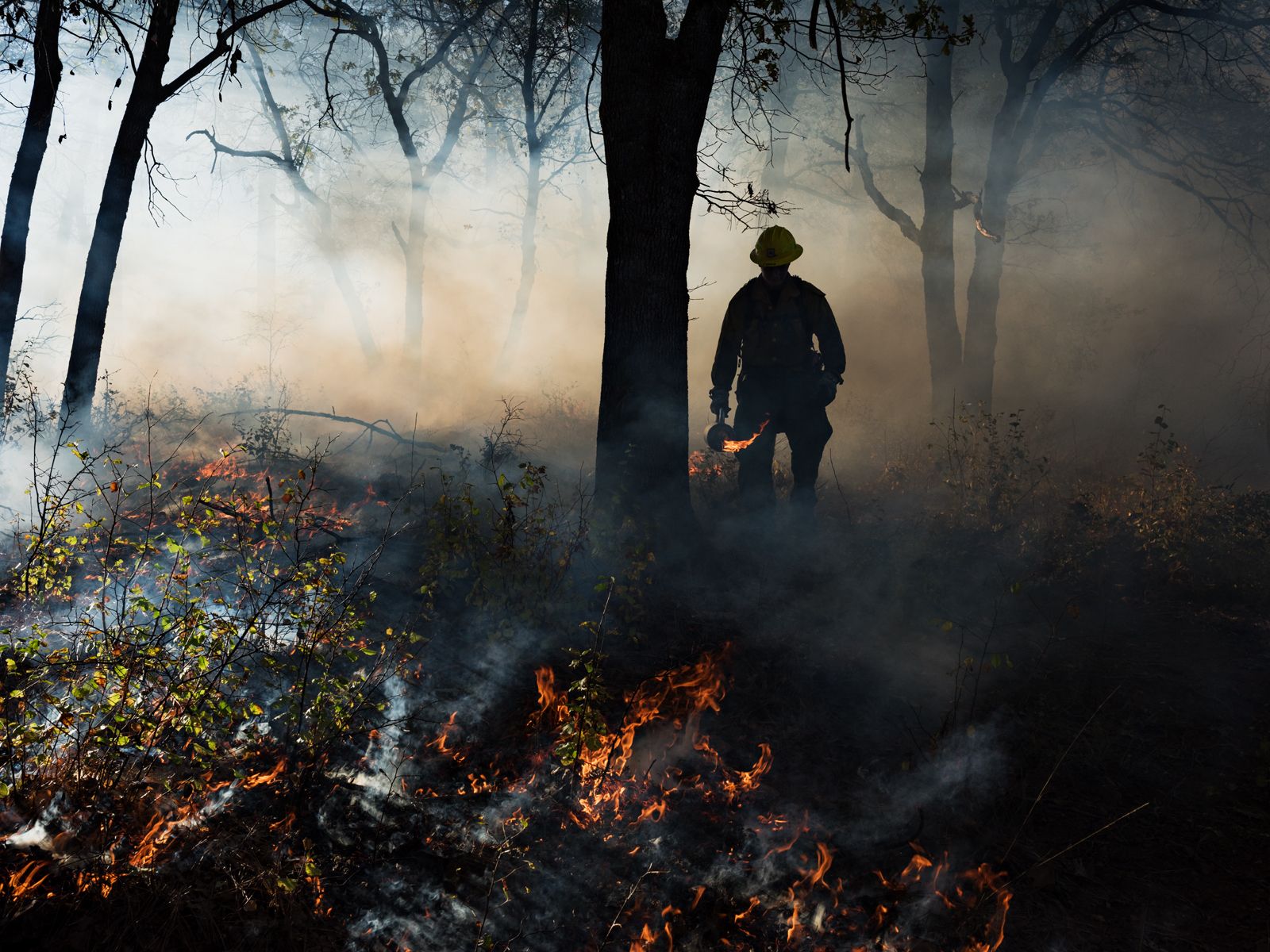 Jason Igniting a Controlled Burn, US Forest Service, California 2015