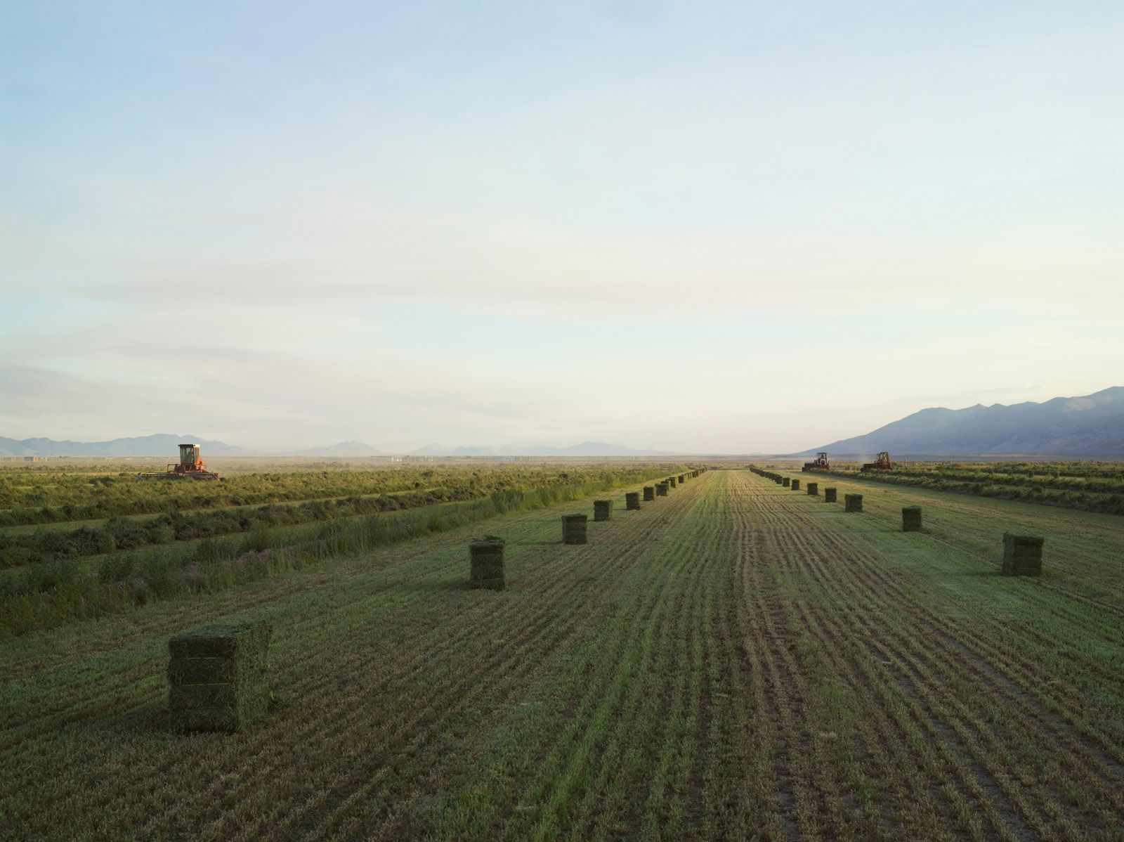 Baling Hay, Diamond Valley, Nevada 2012
