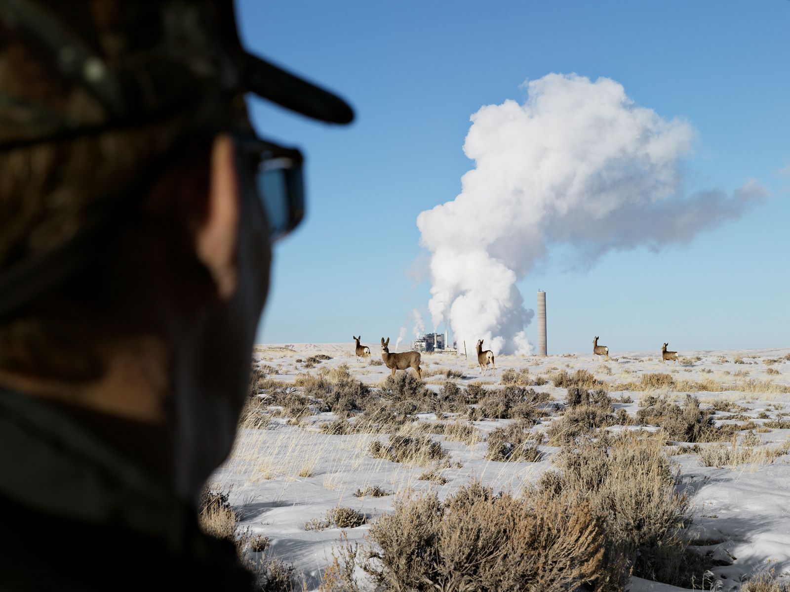 Hunter and Mule Deer by the Naughton Power Plant, Kemmerer, Wyoming 2010