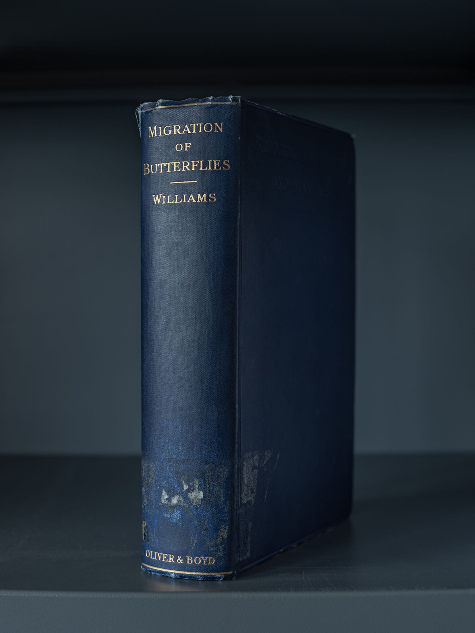 C.B. Williams’ Migration of Butterflies, Institut Botànic de Barcelona, Spain, 2021