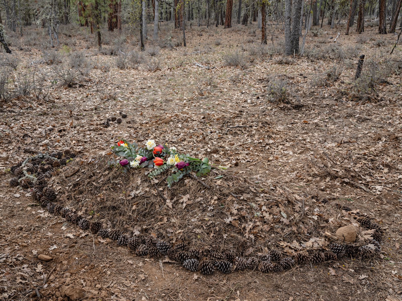 Natasha Harvey, White Eagle Memorial Preserve Cemetery, Washington 2021