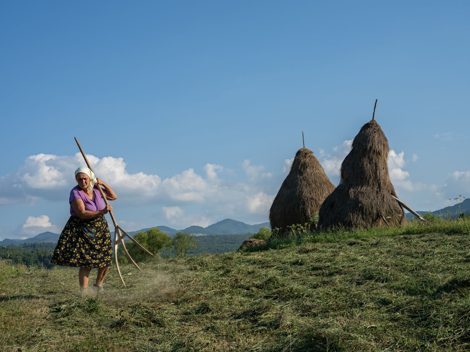 Tirah Raking Hay, Romania, 2021 