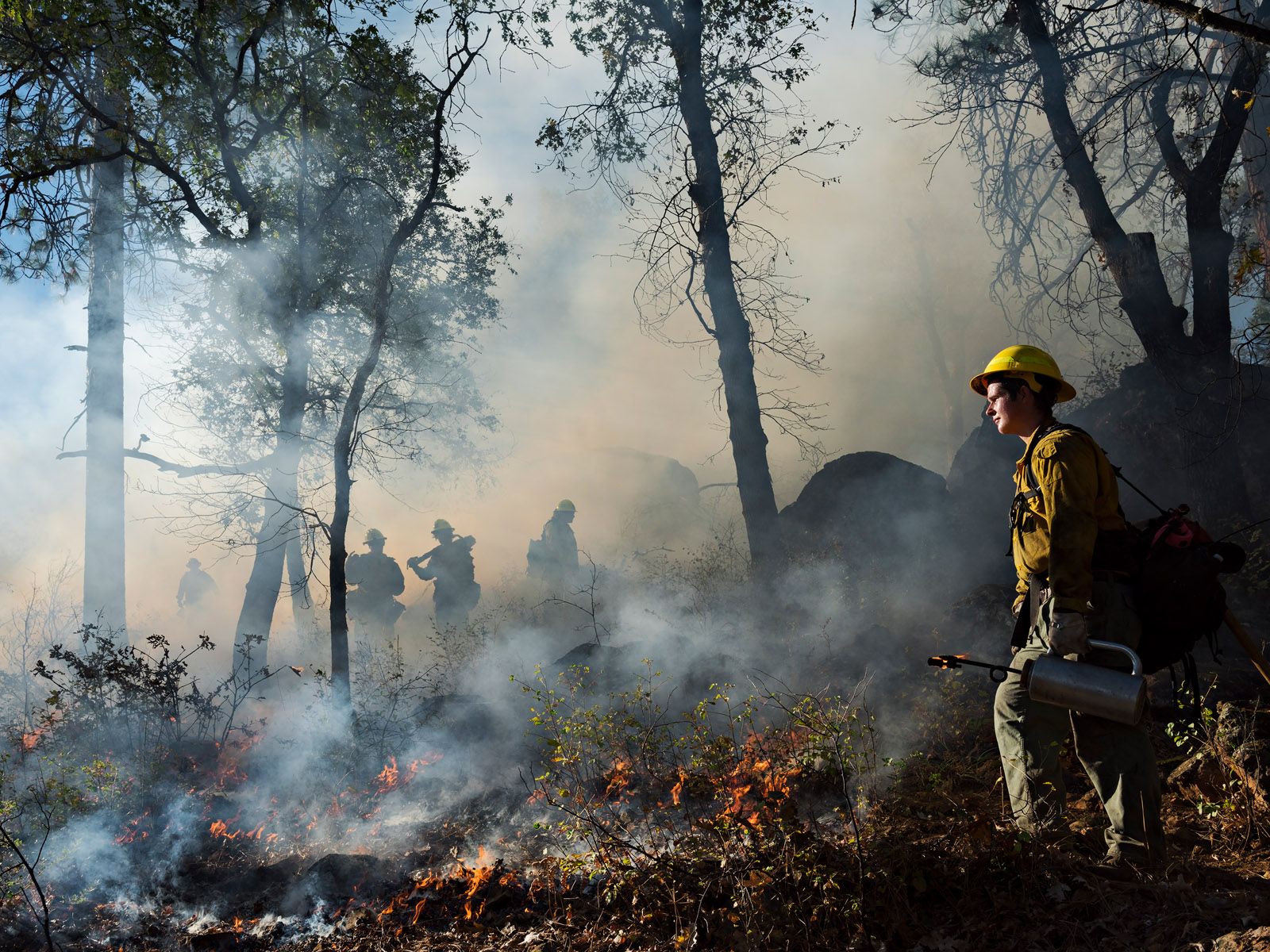 Jason Igniting a Controlled Burn, US Forest Service, California 2015