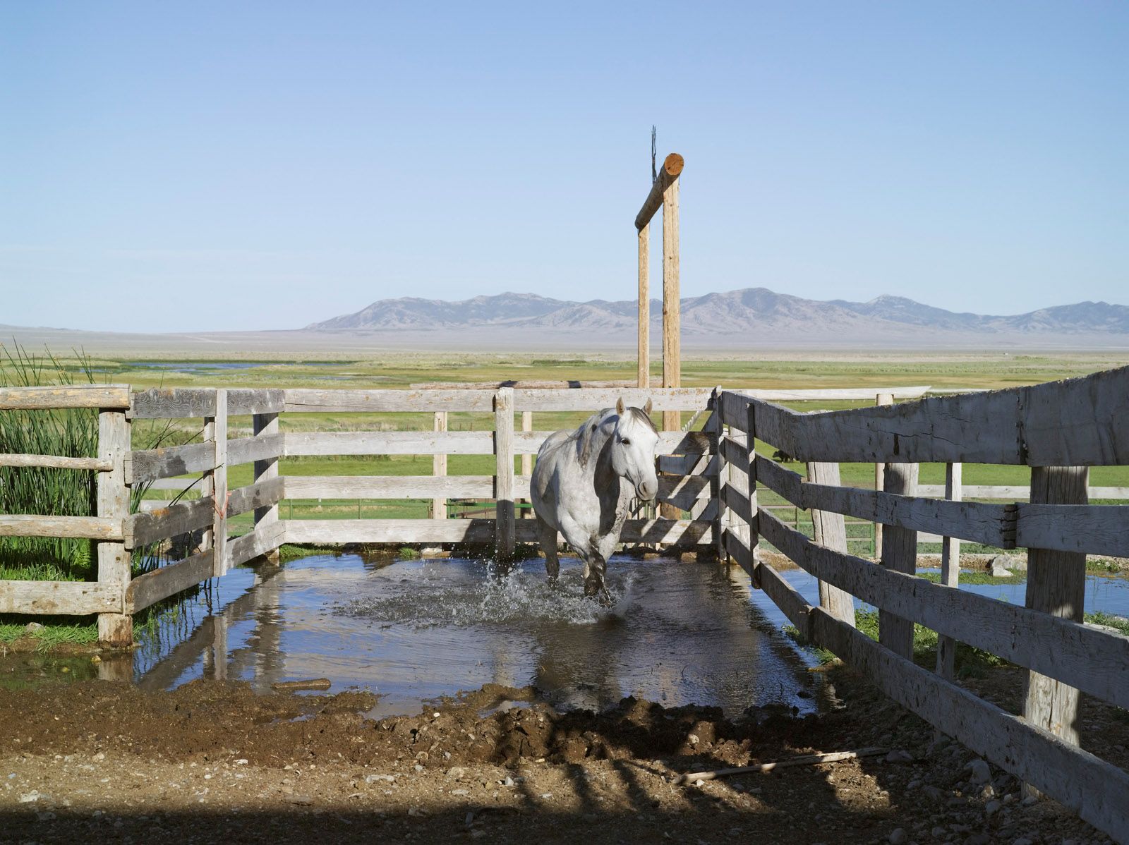Future Site of Long Canyon Gold Mine, Big Springs Ranch, Oasis, Nevada 2012