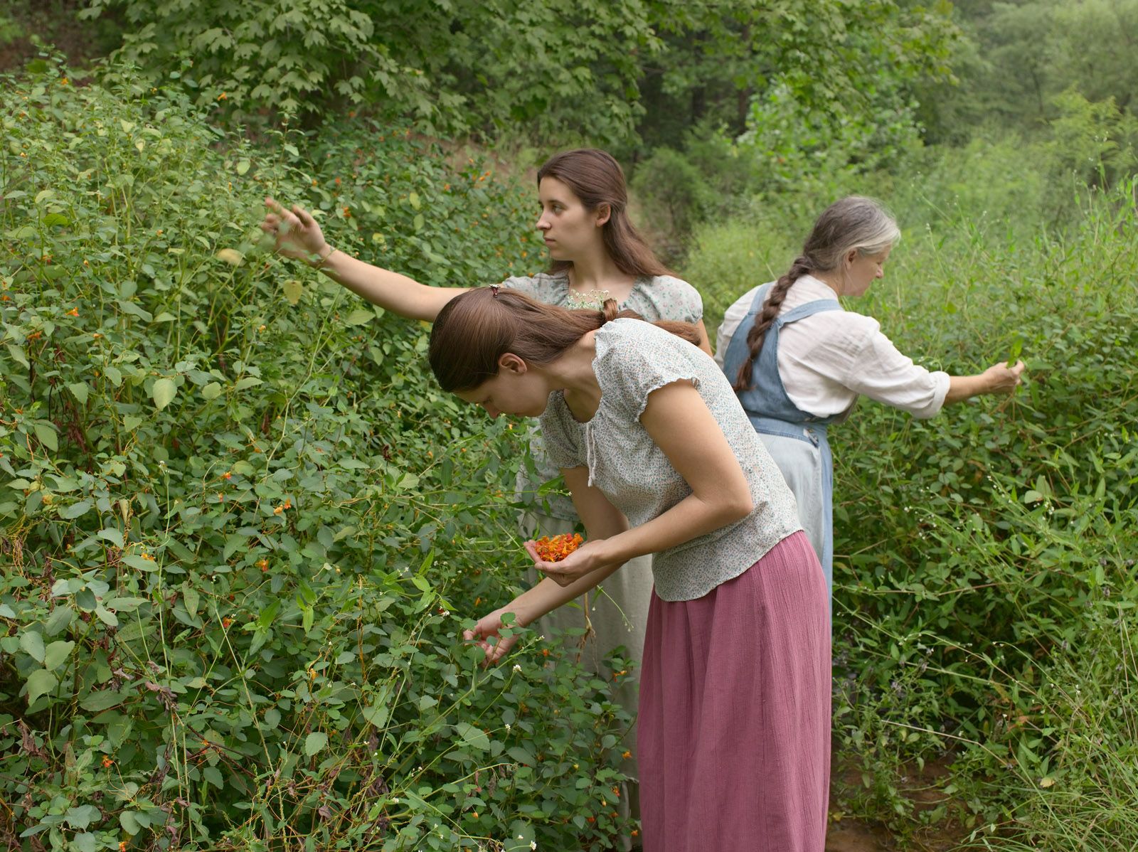 Jasmine, Hannah and Vicki Picking Jewelweed, Tennessee 2007