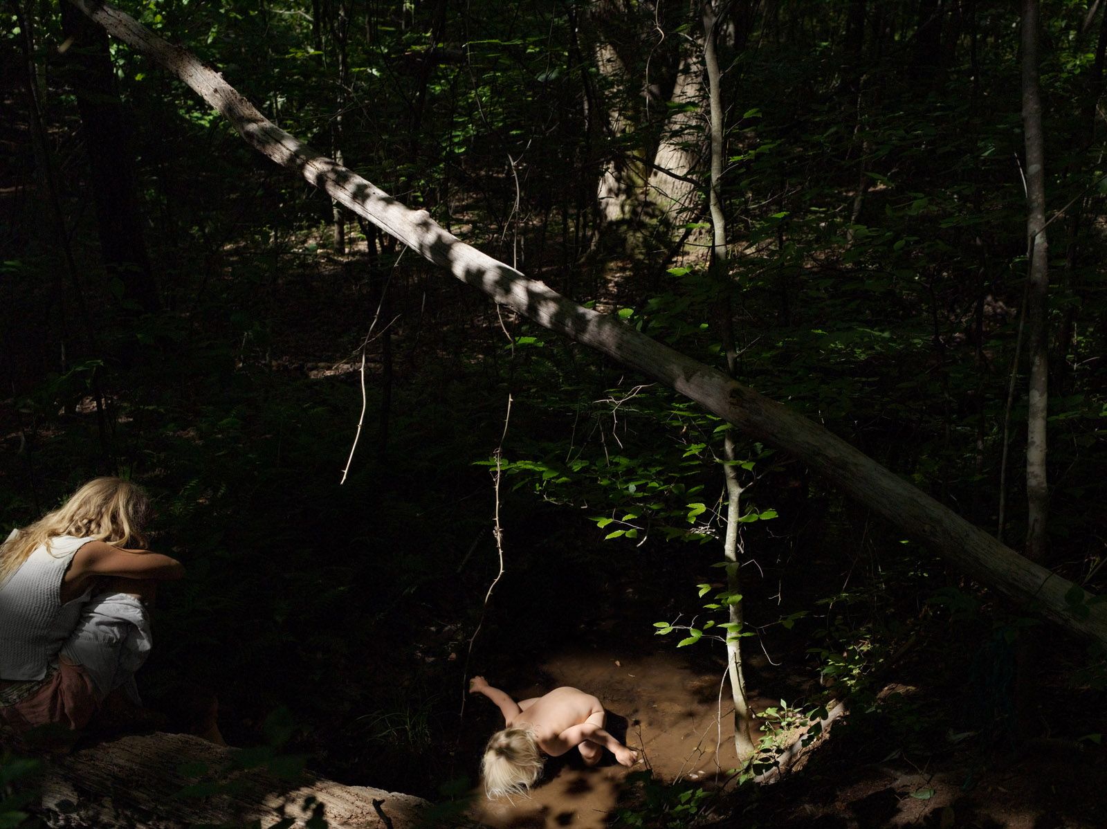 Creek, Kevin's Land, Virginia 2009