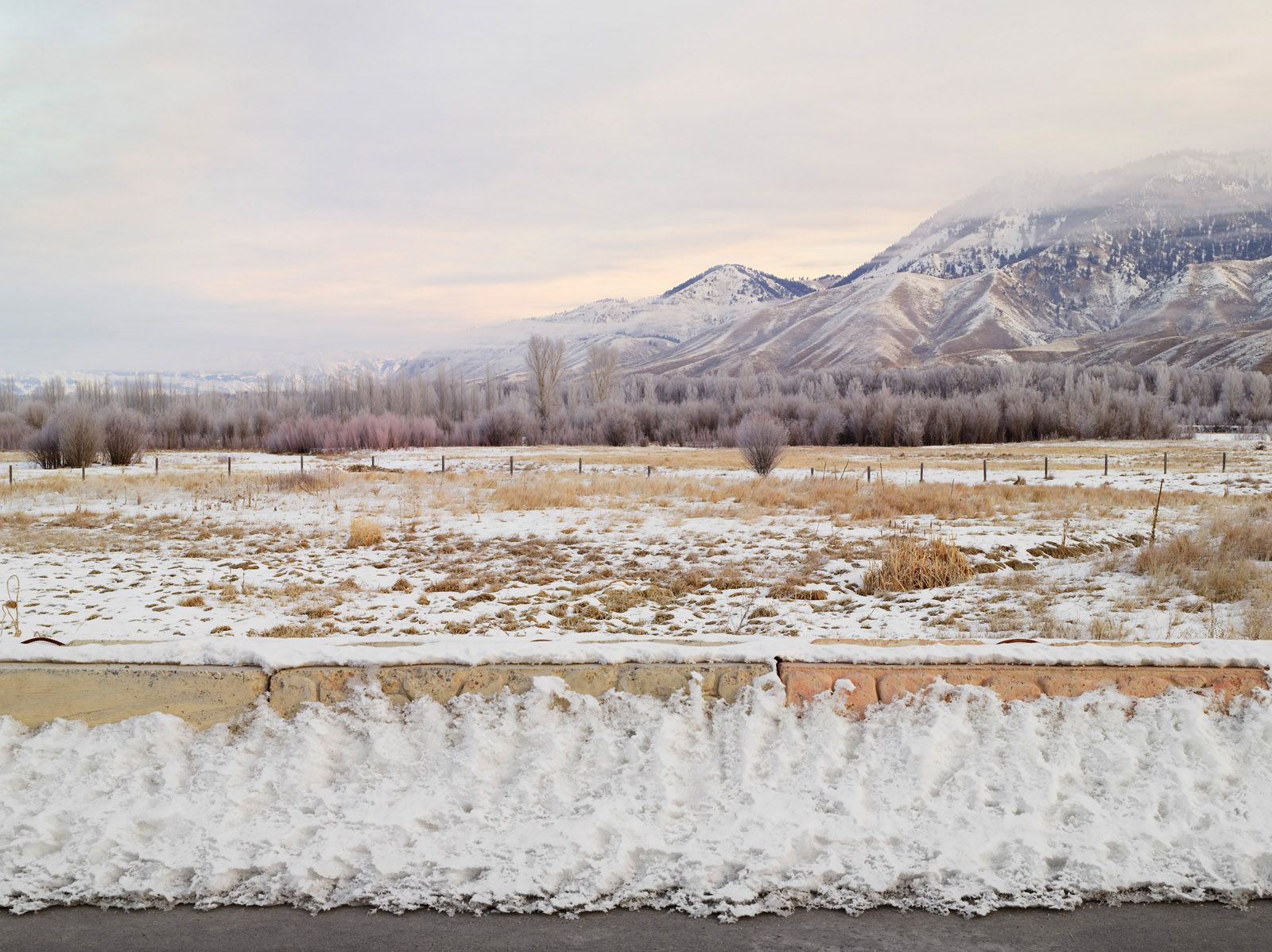 Teton National Forest and Road Barrier, Jackson, Wyoming 2009