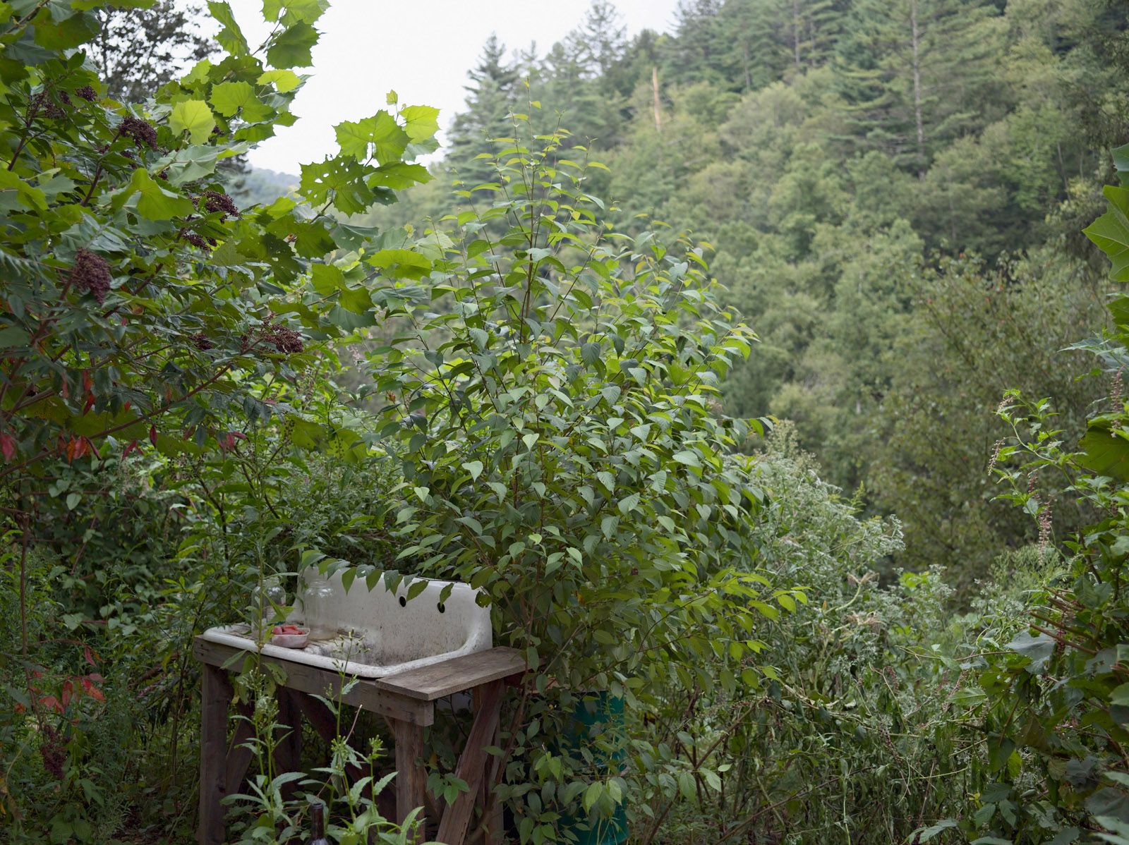 Sink, Wildroots Homestead, North Carolina 2006
